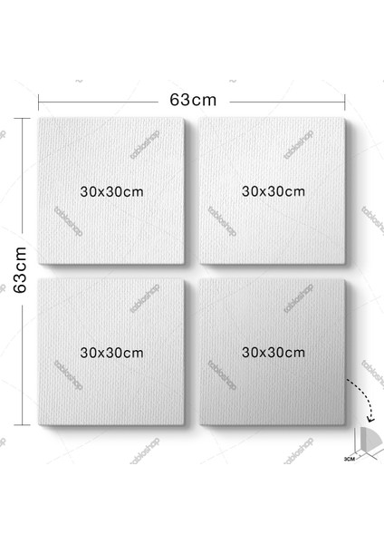 Amazon Soyut Tablo fiyatları
