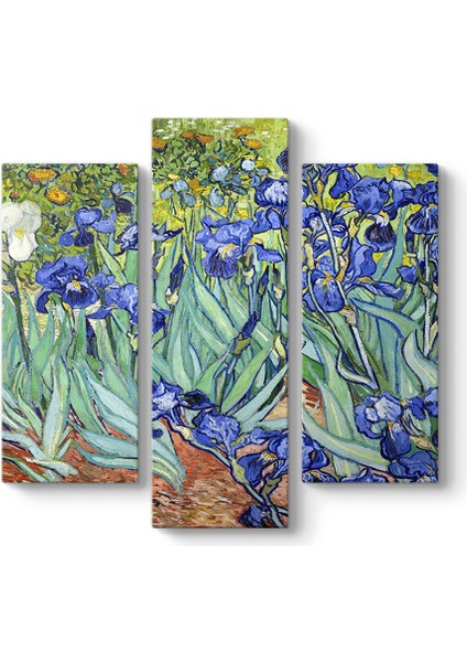 Vincent Van Gogh - Iris Süsen Çiçeği Kanvas Tablosu