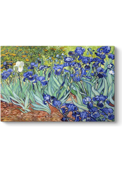 Vincent Van Gogh - Iris Süsen Çiçeği Kanvas Tablosu