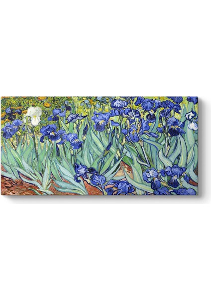 Vincent Van Gogh - Iris Süsen Çiçeği Kanvas Tablosu