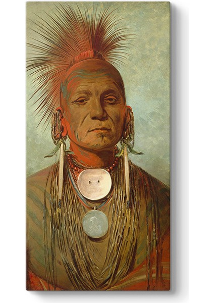 George Catlin - Medicine Man Kanvas Tablo