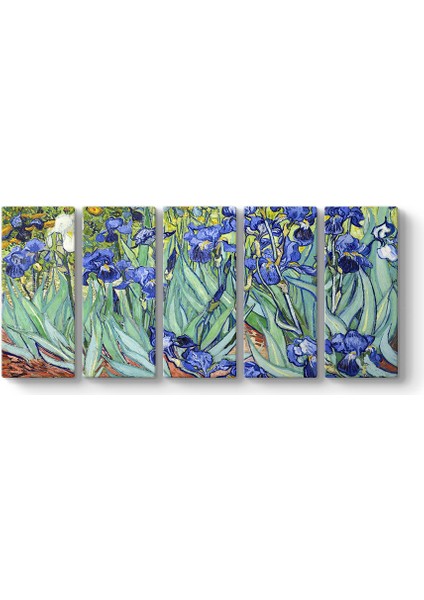 Vincent Van Gogh - Iris Süsen Çiçeği Kanvas Tablosu