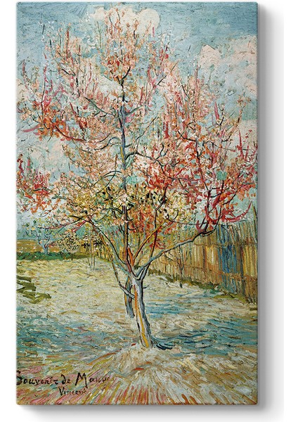 Vincent Van Gogh - Pembe Şeftali Ağaçları Tablosu
