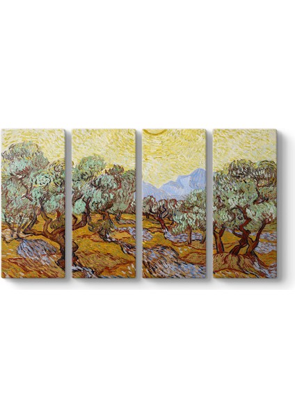 Vincent Van Gogh - Olive Trees Tablosu