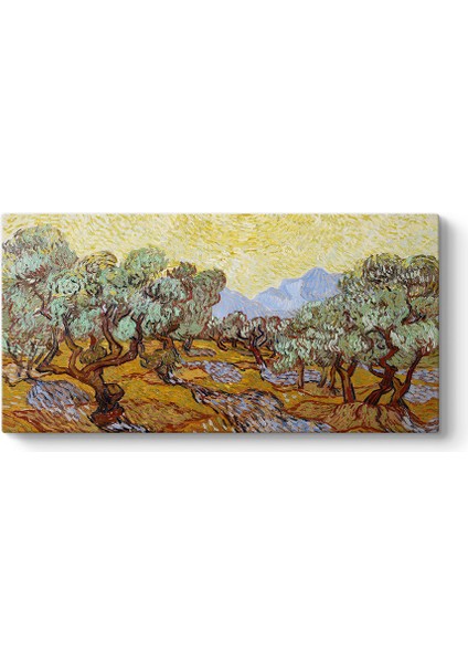 Vincent Van Gogh - Olive Trees Tablosu