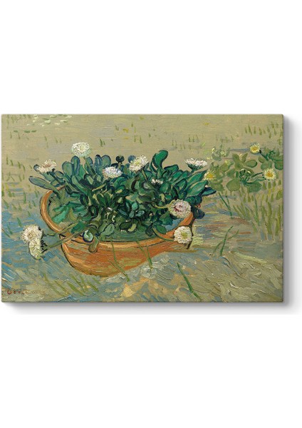 Vincent Van Gogh - Papatyalar Tablosu