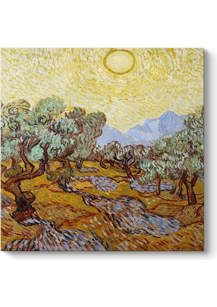 Vincent Van Gogh - Olive Trees Tablosu