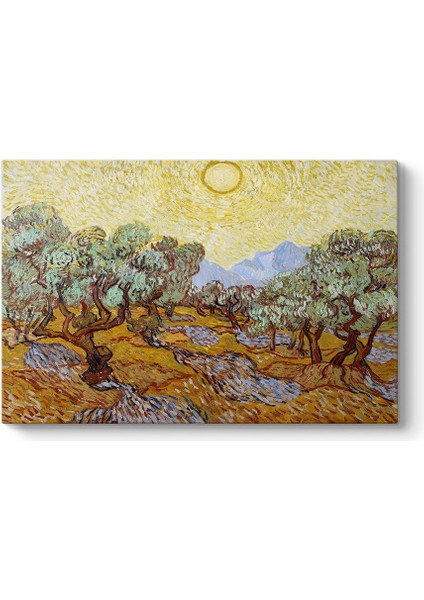 Vincent Van Gogh - Olive Trees Tablosu