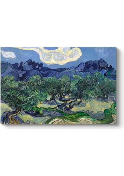Vincent Van Gogh - Zeytin Ağaçları Tablosu