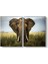 Doğadaki Fil Tablosu 1