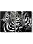 Siyah Beyaz Zebra Tablosu 1