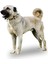 Köpek Boyun Tasması Küçük Boy 3cm x 60CM U Çivili Kangal Kurt Tasması Kayış Ayarlanabilir Dokuma 4