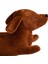 Karikatür Hayvan Dachshund Uzun Peluş Oyuncak - Kahverengi (Yurt Dışından) 3