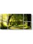 Yeşil Yol Panorama Tablosu 1