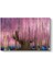 Pembe Wisteria Ağacı Tablosu 1