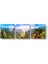 Zhangjiajie Naturel Parkı Tablosu 1