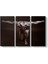 Muscles Canvas Tablo 1