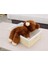 Teddy Bear Peluş Oyuncaklar - 36CM (Yurt Dışından) 2