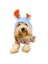 Bon Bunny Blue Kulaklı Köpek Tulumu Kıyafeti 1