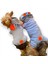 Bon Bunny Blue Kulaklı Köpek Tulumu Kıyafeti 4