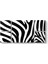 Zebra Deseni Vektörel Tablo 1