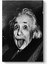 Albert Einstein Tablosu 1