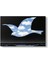 Rene Magritte - Bird Tablosu 1