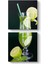 Nane Limon Tablosu 1