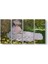 Claude Monet - Springtime Tablosu 1