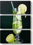 Nane Limon Tablosu 1