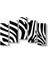 Zebra Deseni Vektörel Tablo 1