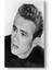 James Dean Tablosu 1