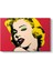 Marilyn Monroe Popy Tablosu 1