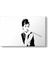 Audrey Hepburn Makyaj Tablosu 1