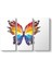 Renkli Kelebek Tablosu 1
