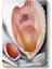 Georgia Okeeffe - Two Pink Shells‏ Tablosu 1