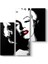 Marilyn Monroe Vintage Tablosu 1