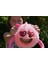 Thats My Fun Peluş Şişme Pofuduk Top Hanna Heart 15 cm 3