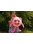 Thats My Fun Peluş Şişme Pofuduk Top Hanna Heart 15 cm 4