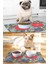 Space Köpek Kedi ve Köpek Mama Mati 50X35CM 2