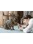 Churu 4X14GR Püre Ton Balıklı Kedi Maması 10ADET 5
