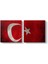 Eskitme Türk Bayrağı Tablosu 1