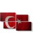 Eskitme Türk Bayrağı Tablosu 1