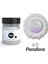 Tone Powder Pandora Epoksi Toz Sedef Renk Pigmenti 100 ml 1