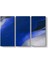 Georgia Okeeffe - Blue Tablosu 1