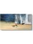 Edward Hopper - Cape Cod Evening Tablosu 1