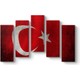 Seçili Renk Renkli