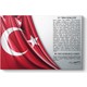 Seçili Renk Renkli