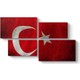 Seçili Renk Renkli