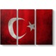 Seçili Renk Renkli